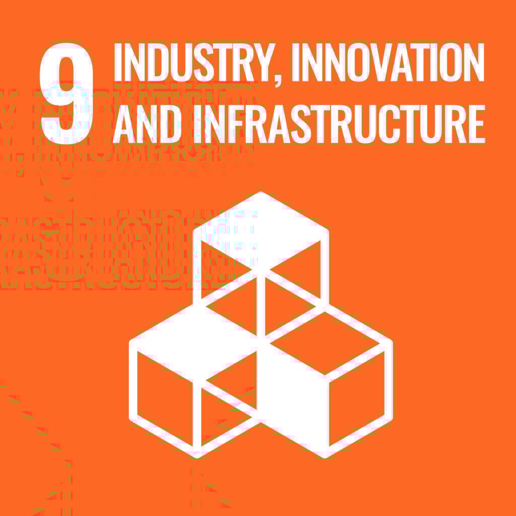 SDG 9 logo
